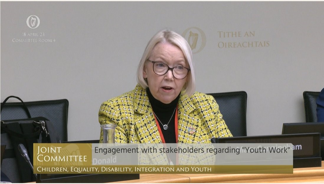 NYCI director Mary Cunningham addresses oireachtas committee