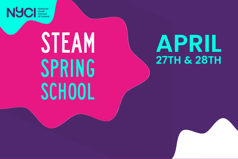 STEAM Spring School